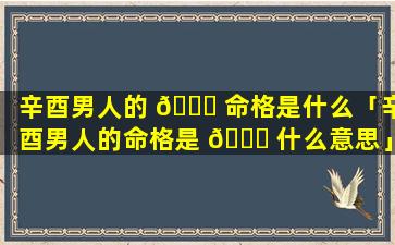 辛酉男人的 🐞 命格是什么「辛酉男人的命格是 🐈 什么意思」